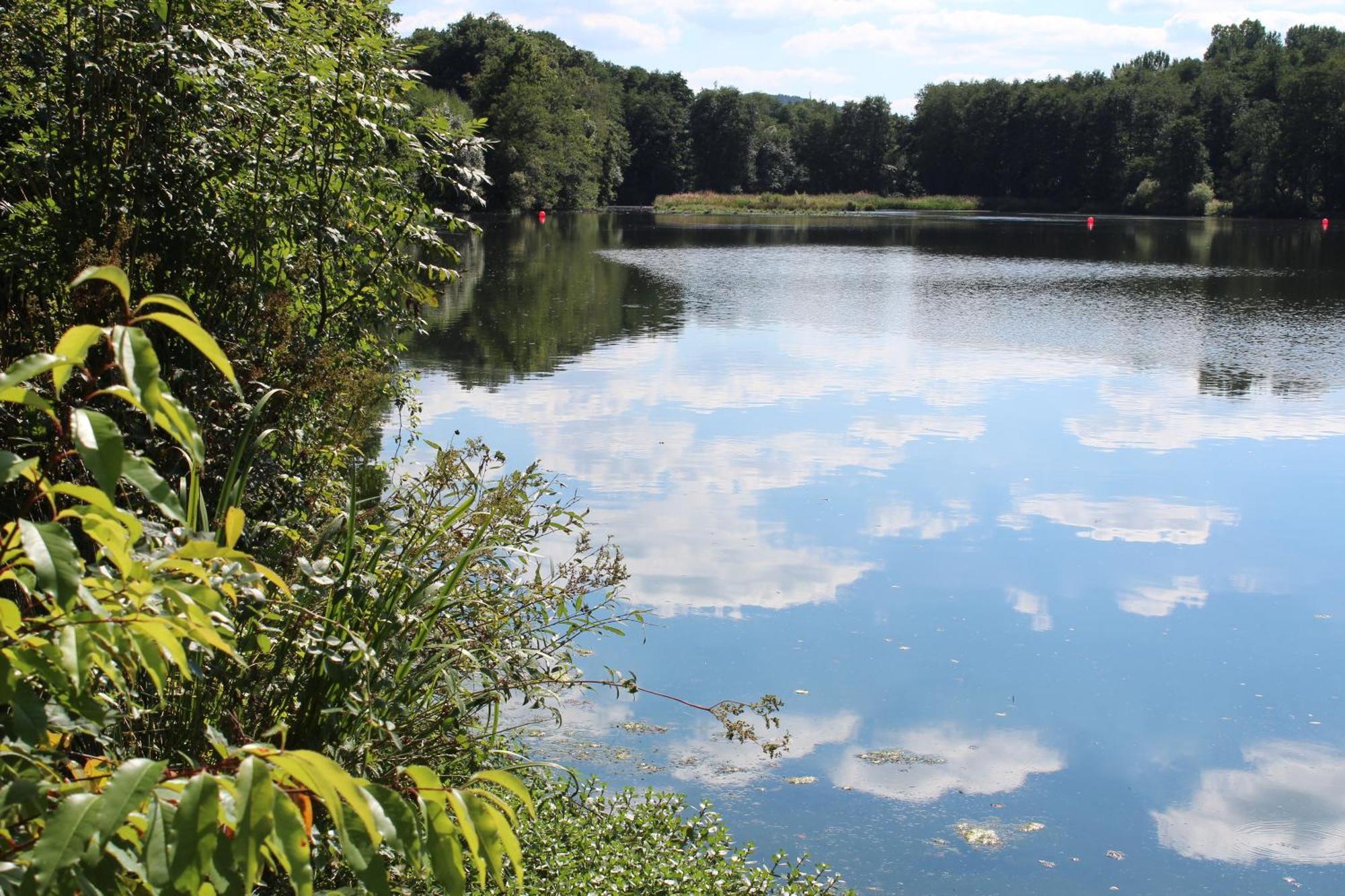 Knaus Campingpark Hennesee Meschede Bagian luar foto